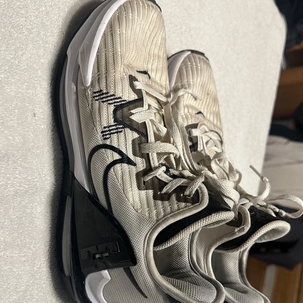 Nike lebron witness